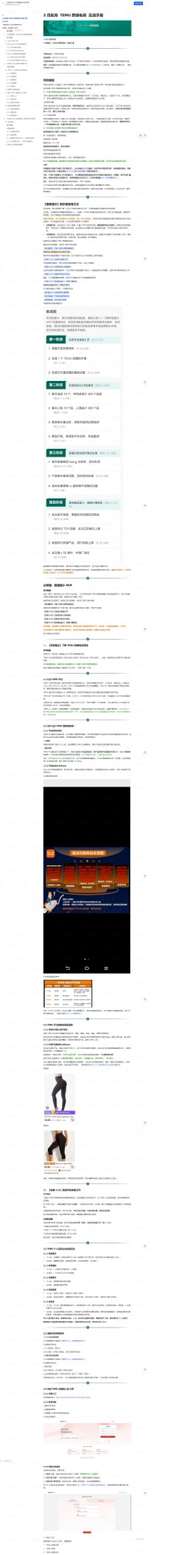 TEMU 跨境电商 实战手册